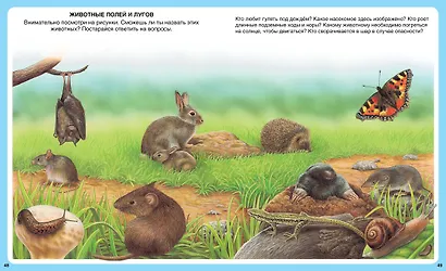 Животные - фото 6