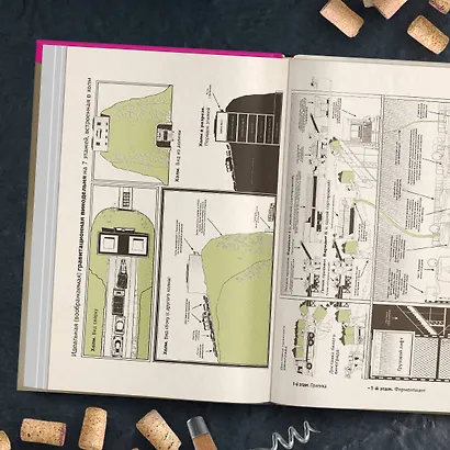 Просто о лучших винах. Новая энциклопедия. Издание 2-е, дополненное - фото 10