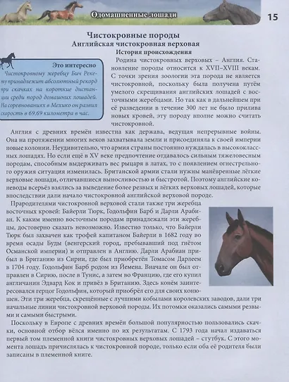 Лошади. Энциклопедия - фото 4