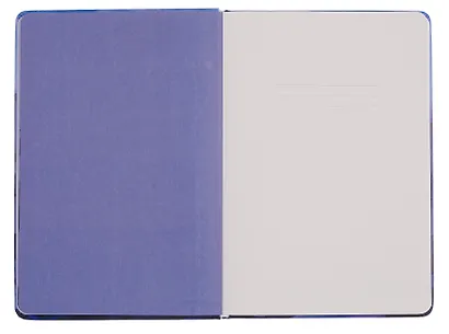 Книга для записей «ART. Мондриан П. Пейзаж с дюнами» А5, 100 листов, нелинованная/в точку, Schiller - фото 4