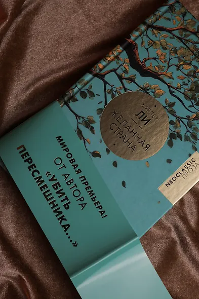 Желанная страна - фото 9