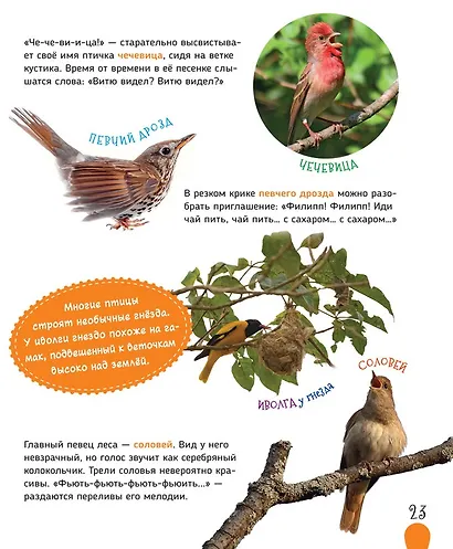 Животные России - фото 5