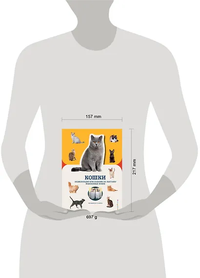 Кошки - фото 4