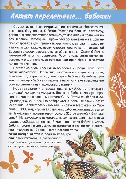 Летят перелетные птицы - фото 5