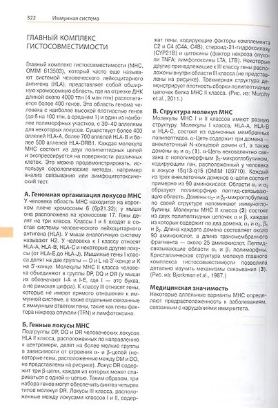 Наглядная генетика - фото 6