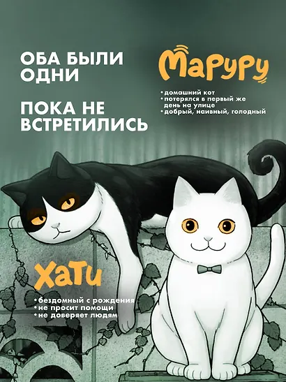 Маруру и Хати. Том 1 - фото 5