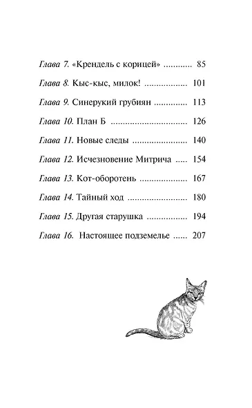 Расследование в кафе «Крендель с корицей» - фото 9