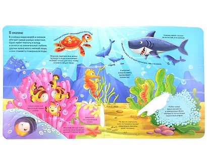 Животные. Энциклопедия с окошками - фото 4