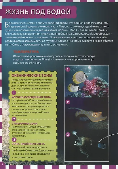Подводный мир - фото 2