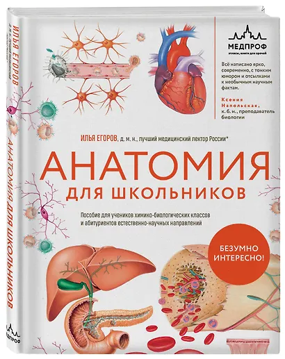 Анатомия для школьников. Пособие для учеников химико-биологических классов и абитуриентов естественно-научных направлений - фото 3