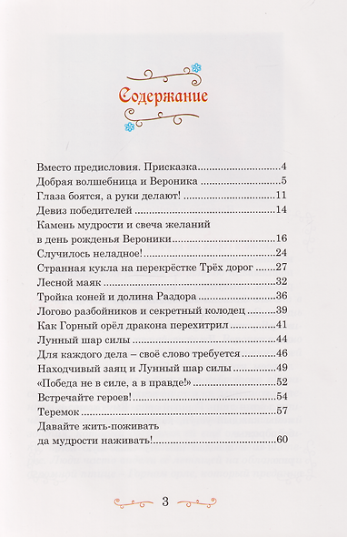 Камень мудрости для Вероники. Современная сказка - фото 4