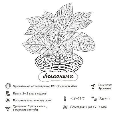 Раскраска-трекер. Растущие в темноте - фото 4