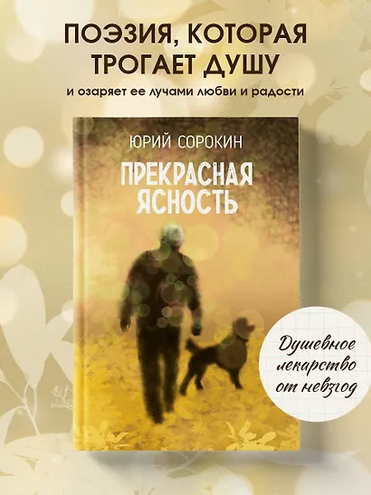 Прекрасная ясность - фото 4