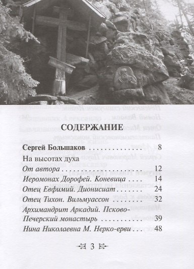 На высотах духа.Советы православным христианам на духовном пути - фото 2