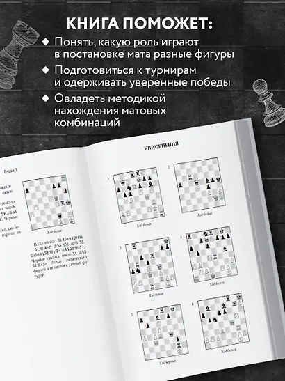 Шахматная тактика XXI века - фото 5