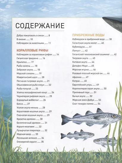 Подводный мир. Полная энциклопедия - фото 6