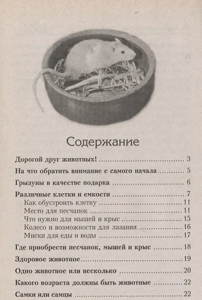 Декоративные мыши. Содержание. Кормление. Разведение. Лечение - фото 2