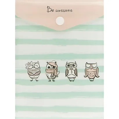 Папка -конверт «Совы. Be awesome» А6 на кнопке, вертикальная - фото 1