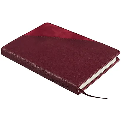 Ежедневник недатированный "Напплак/Лэвелюр", А5, 160 листов, бордовый - фото 2