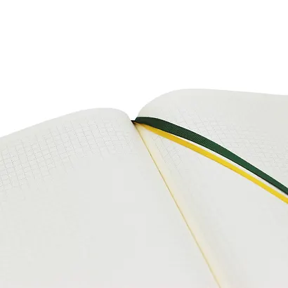 Книга для записей А5 80л. "BUSINESS PREMIUM. Iguana (изумрудный)" иск.кожа, поролон, мет.уголки, тонир.блок, зол.торец, 2 ляссе, инд.уп. - фото 4