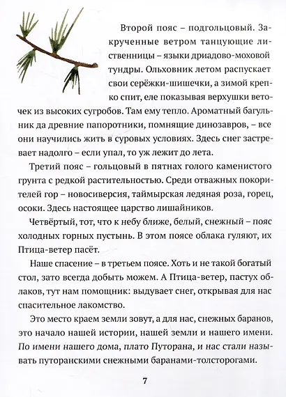 Сказка барана, дядюшки Путорана - фото 3