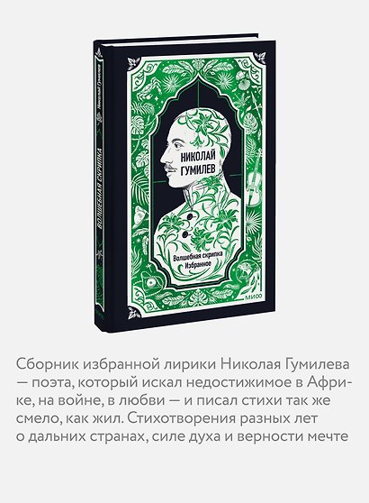 Николай Гумилев: Волшебная скрипка. Избранное. Вечные истории - фото 5