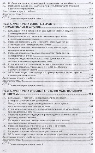 Аудит: теория и практика: В 2 частях. Часть 2. Практический аудит - фото 3