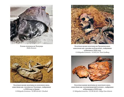 Мумии со всего света - фото 12