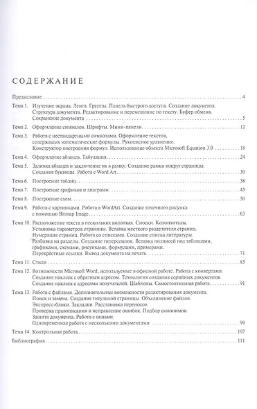 Информатика в примерах и задачах. Выпуск 6. Microsoft Word 2016. Учебно-методическое пособие - фото 2
