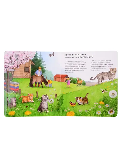 Мамы и малыши (с волшебными окошками) - фото 5