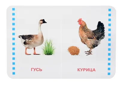 Домашние животные - фото 3