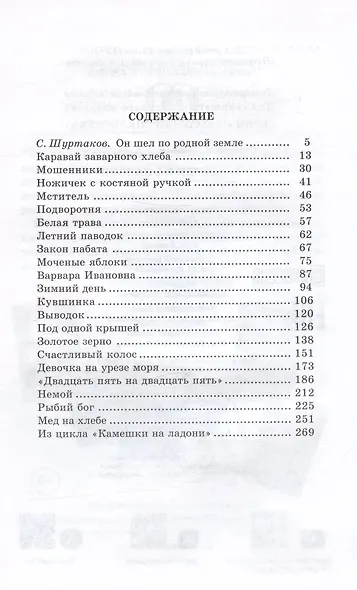 Камешки на ладони - фото 2