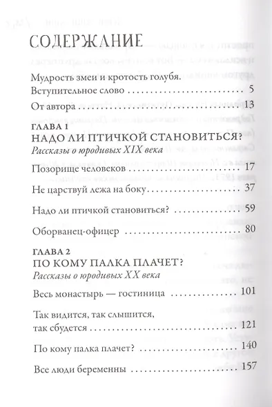 По кому палка плачет? Рассказы о рязанских юродивых - фото 2