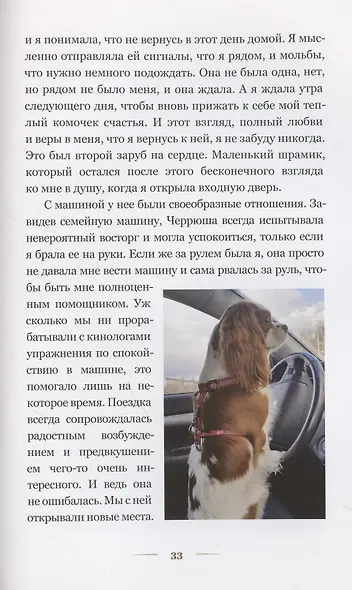 Любовь в форме сердца - фото 7