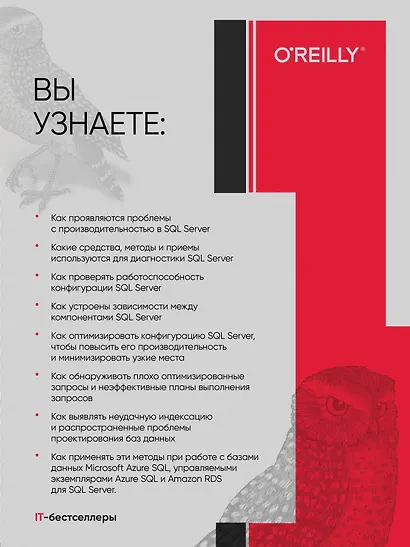 SQL Server. Наладка и оптимизация для профессионалов - фото 4