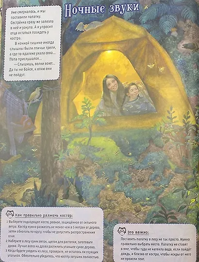 По лесным тропинкам: познавательная книга о природе с вопросами и ответами - фото 4