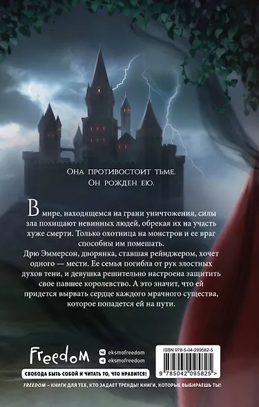 Убийство Принца Тени - фото 2