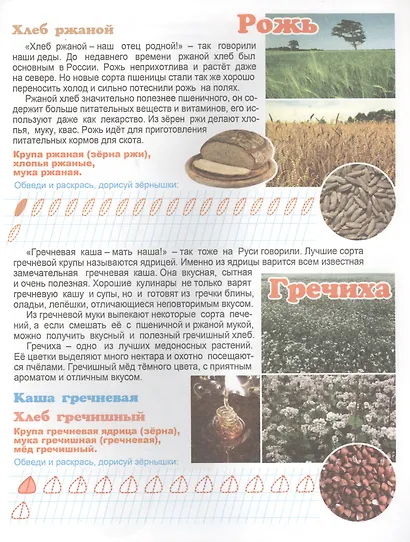 Что у нас на столе? Для детей 4-6 лет - фото 3