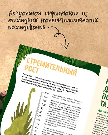 Царство динозавров. Энциклопедия для детей - фото 5