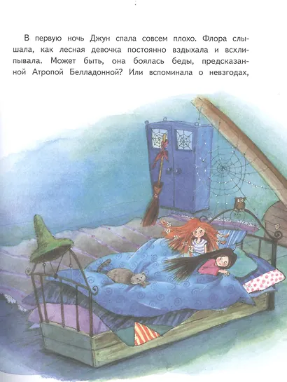 Маленькая ведьмочка Флора. Спасение долины Дивных роз - фото 6