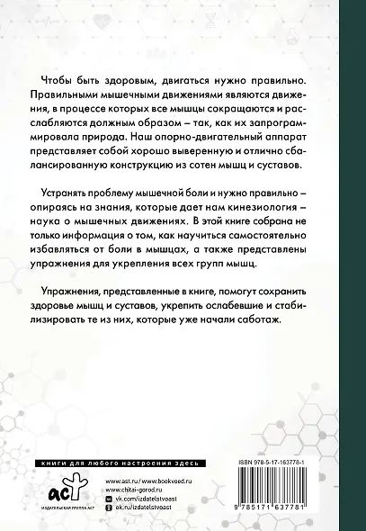 Практическая кинезиология. Упражнения для мышц-халтурщиц - фото 2