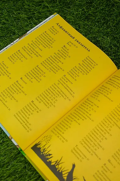 Животные рядом с нами - фото 10