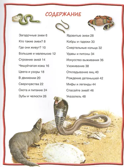 Змеи. 100 фактов - фото 2