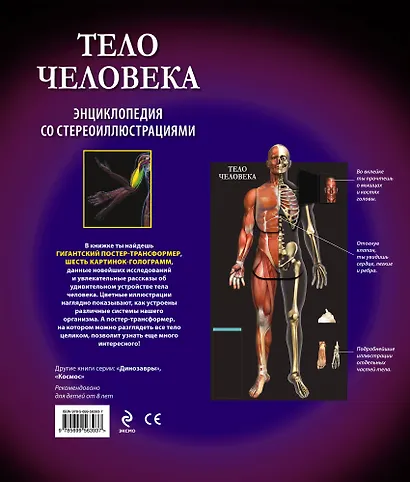 Тело человека. Энциклопедия со стереоиллюстрациями - фото 2