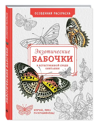 Особенная раскраска: Экзотические бабочки - фото 3