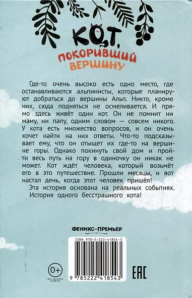 Кот, покоривший вершину - фото 2