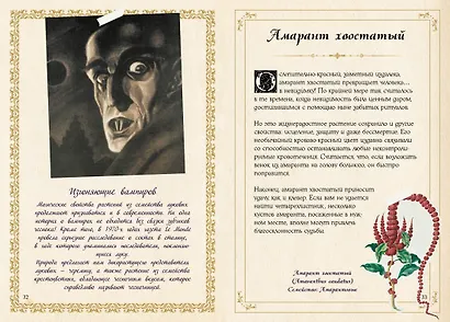 Маленький гримуар ведьмы. Зелья и волшебные травы - фото 14