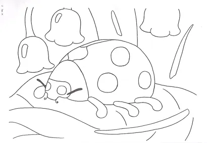 Книжка-раскраска "Жуки" - фото 3