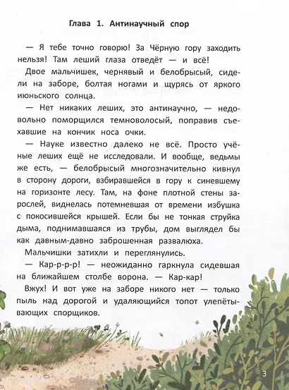 Тайна Черной горы, или Каникулы в Чудесатово - фото 3