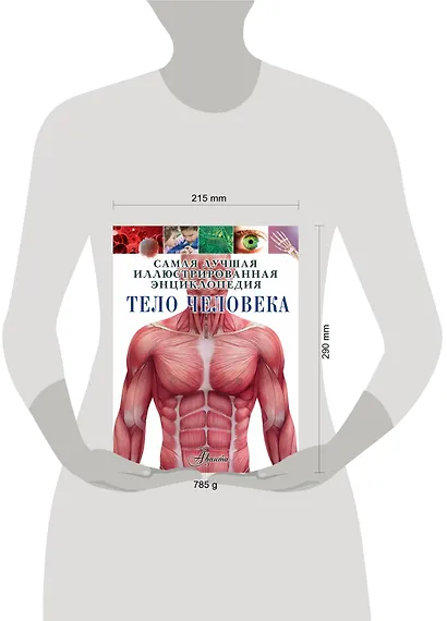 Тело человека - фото 3